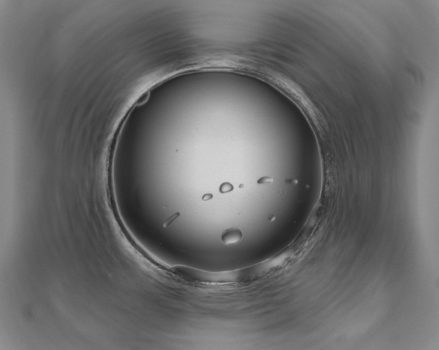 X0000112481483200908171209