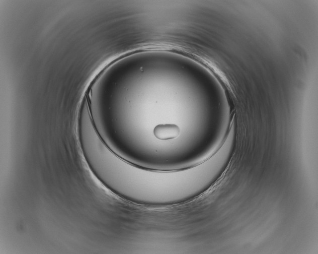X0000112481484200908171209
