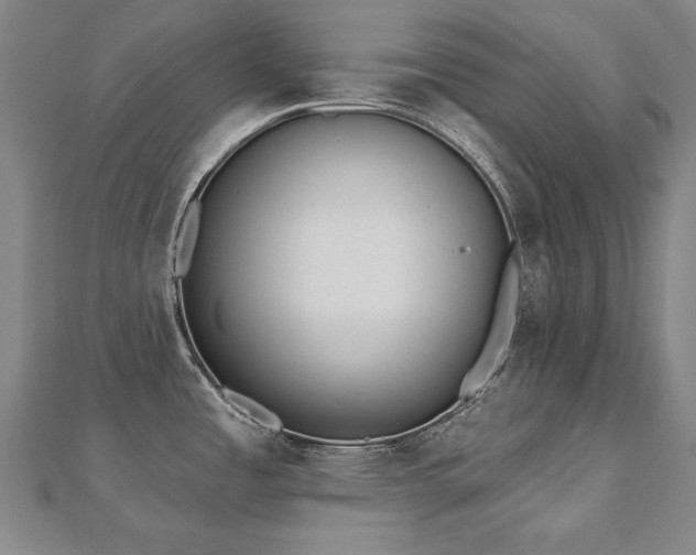 X0000112481485200908171209
