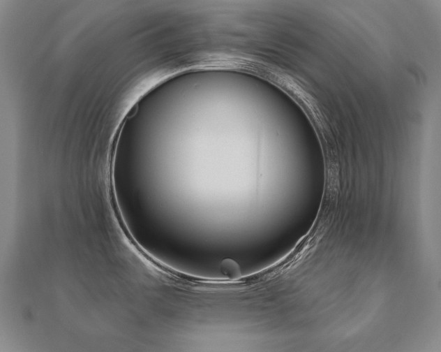 X0000112481487200908171209