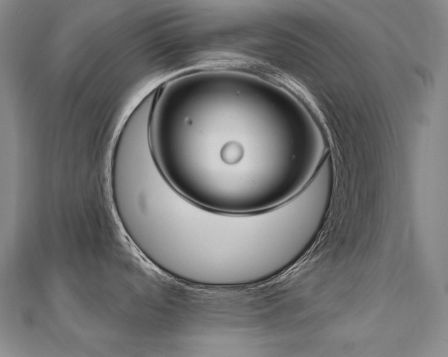 X0000112481488200908171209