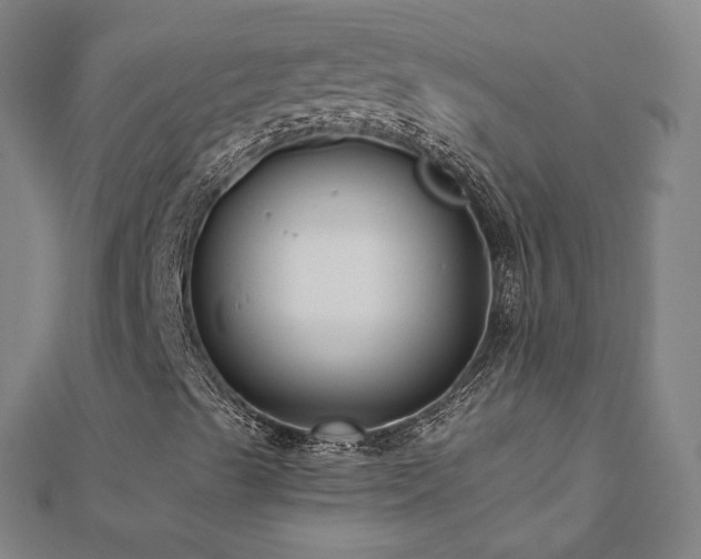 X0000112481489200908171208