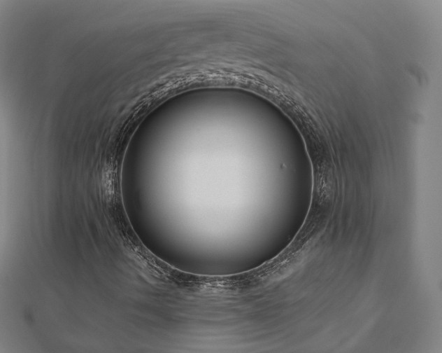 X0000112481490200908171208