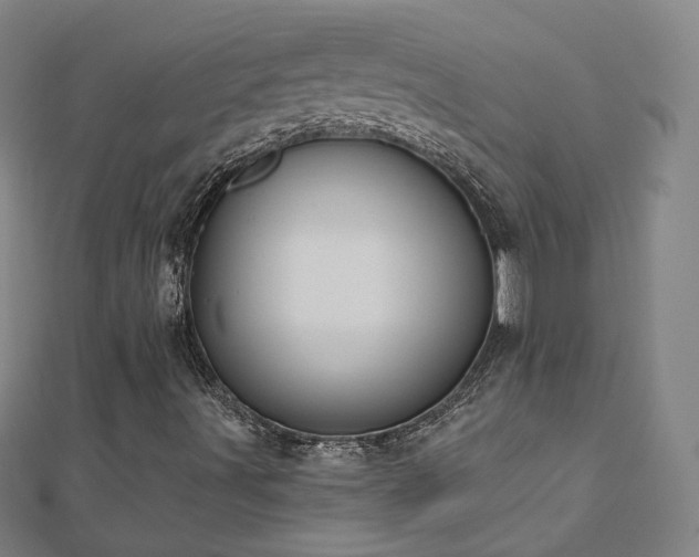 X0000112481491200908171208