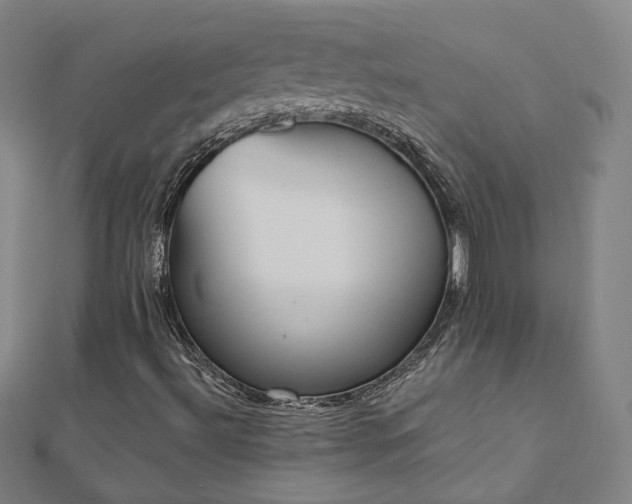 X0000112481492200908171208