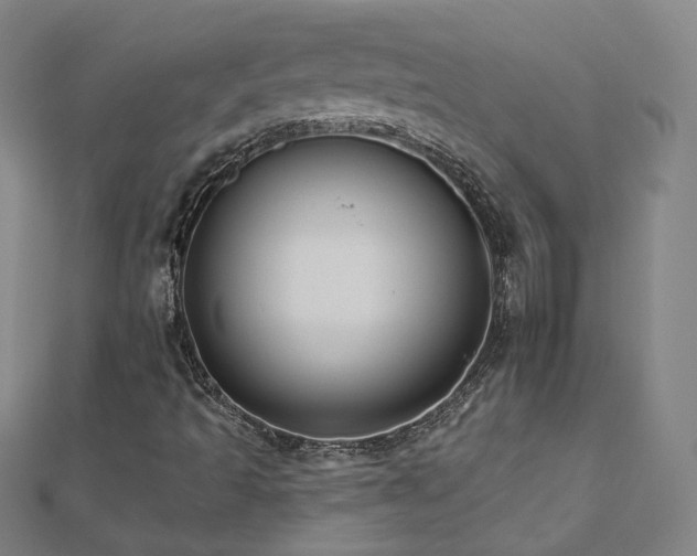 X0000112481493200908171208