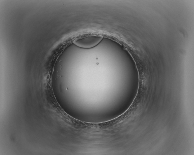 X0000112481495200908171208