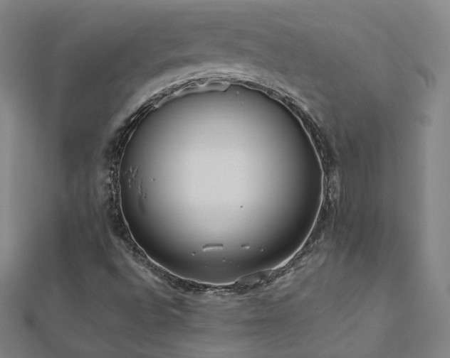X0000112481496200908171208