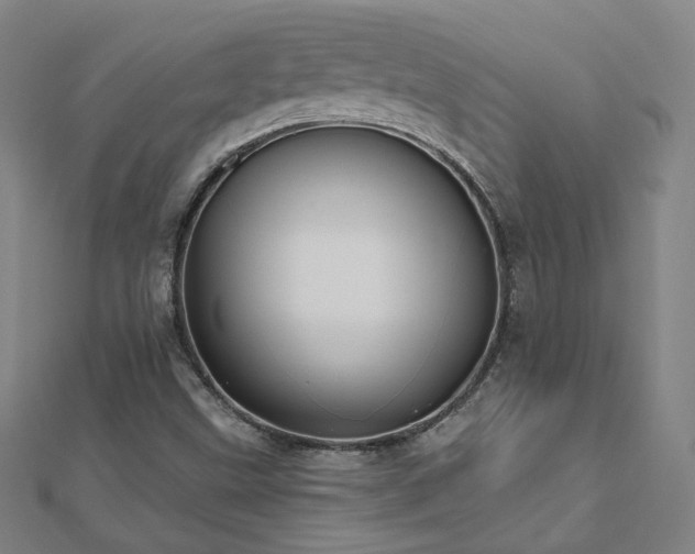 X0000112481499200908171208