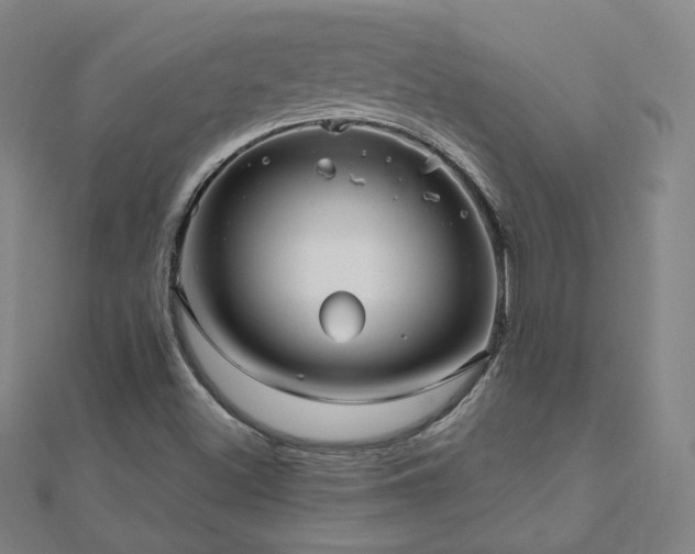 X0000112481500200908171208