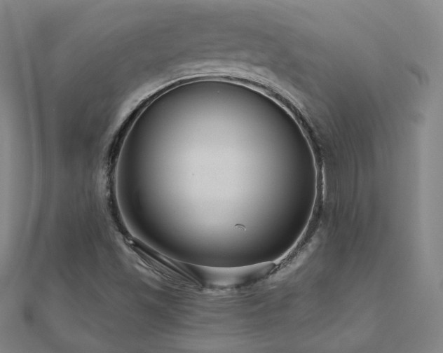 X0000112481501200908171208