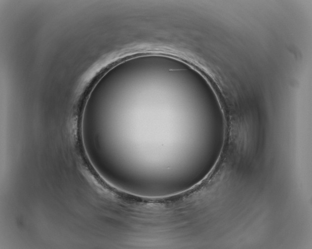 X0000112481503200908171208