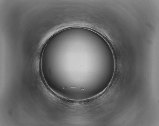 X0000112481504200908171208