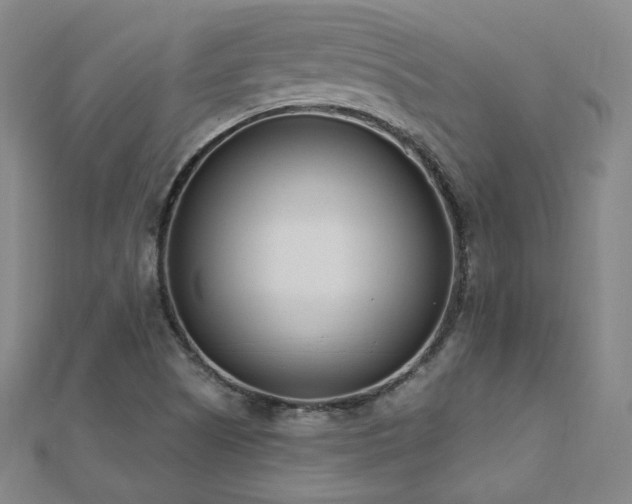 X0000112481505200908171208