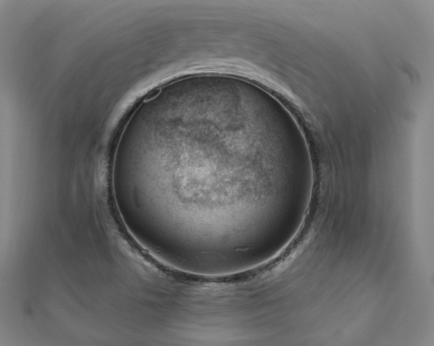 X0000112481506200908171208