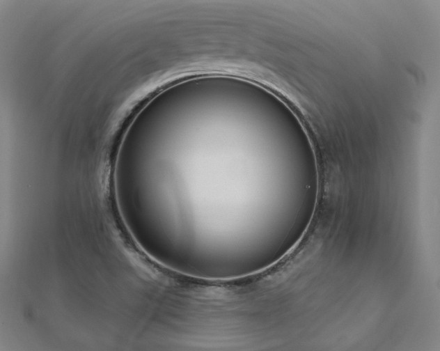 X0000112481507200908171208