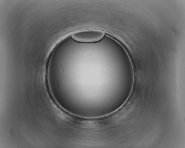 X0000112481508200908171208