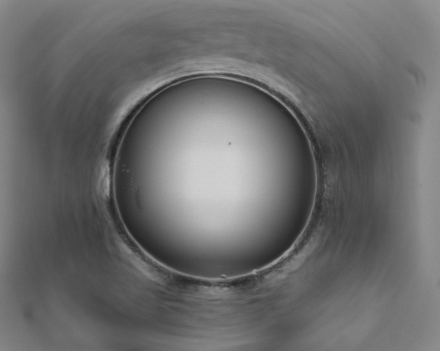 X0000112481509200908171209