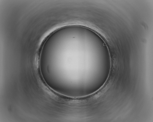 X0000112481510200908171209