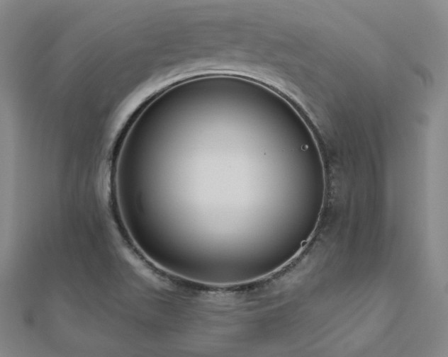 X0000112481511200908171209