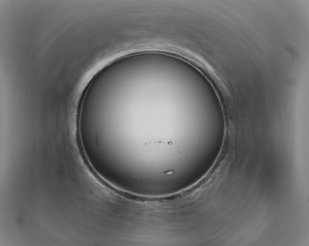 X0000112481512200908171209