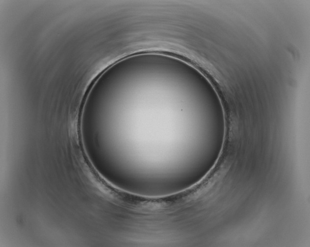 X0000112481513200908171209