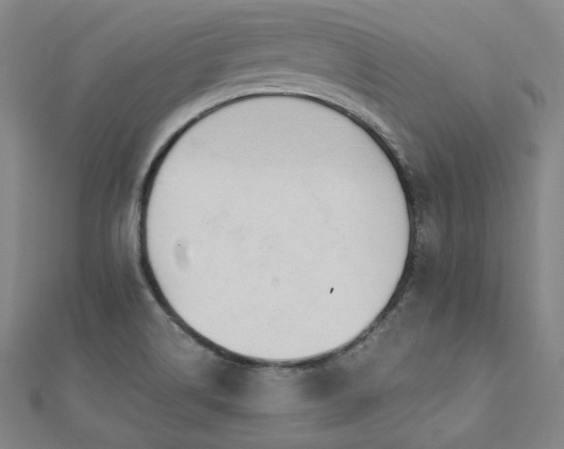 X0000112481514200908171209