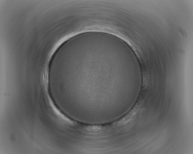 X0000112481515200908171209