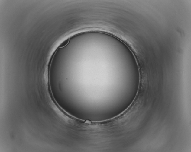 X0000112481516200908171209