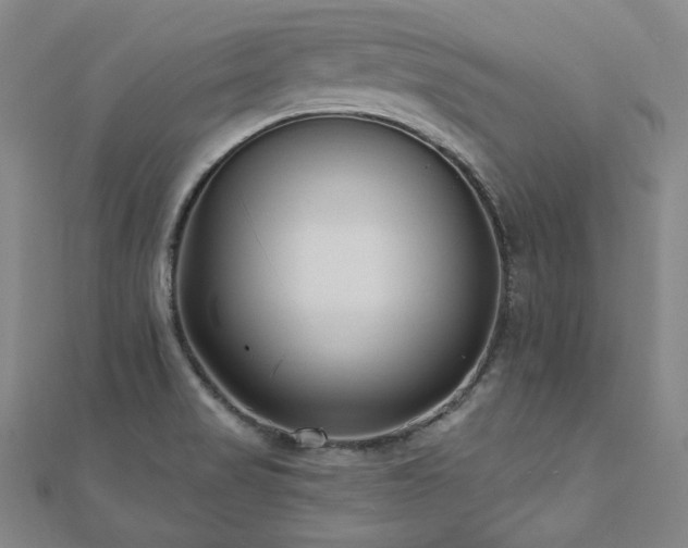 X0000112481517200908171209
