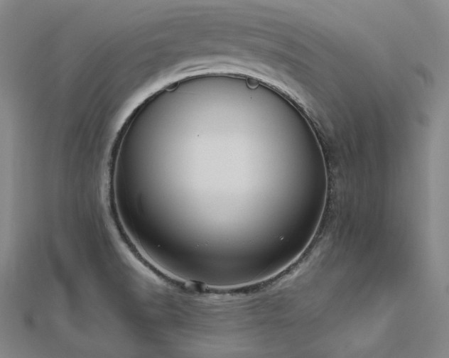 X0000112481518200908171209