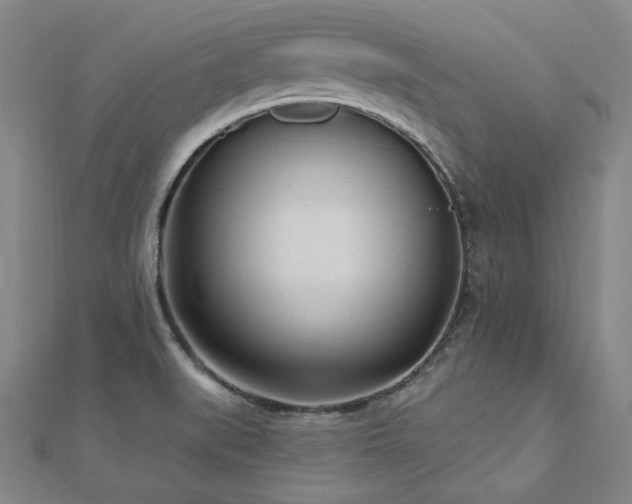 X0000112481519200908171209