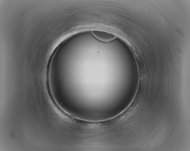 X0000112481523200908171209