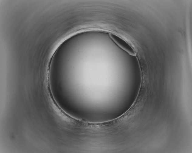 X0000112481524200908171209