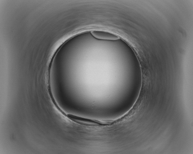 X0000112481527200908171209