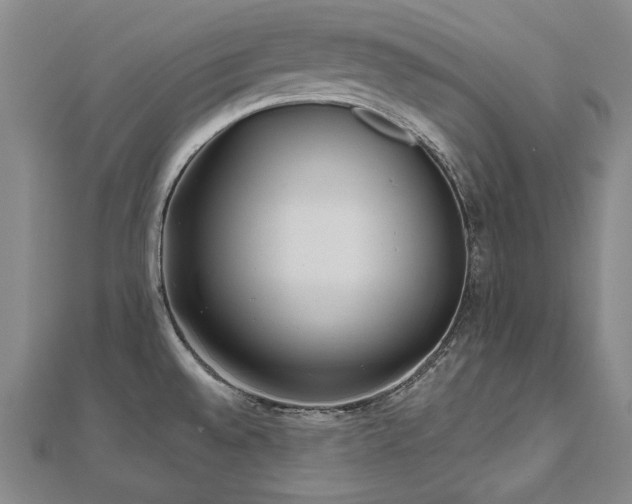 X0000112481528200908171209
