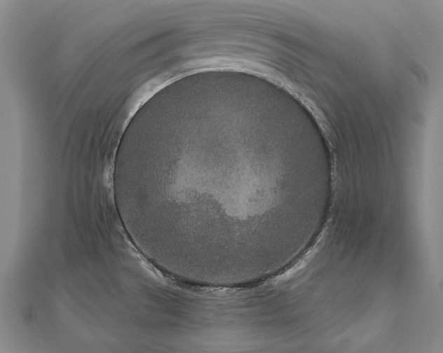X0000112481529200908171209