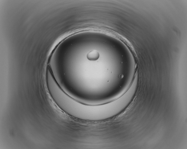 X0000112481530200908171209