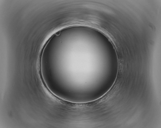 X0000112481531200908171209