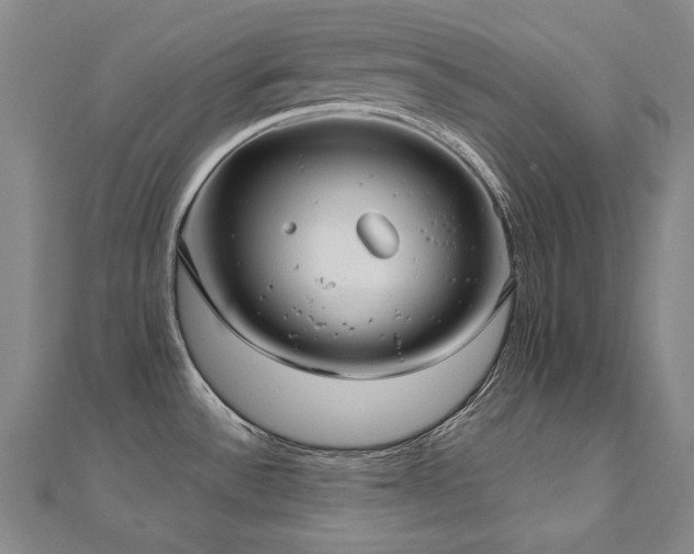 X0000112481532200908171209