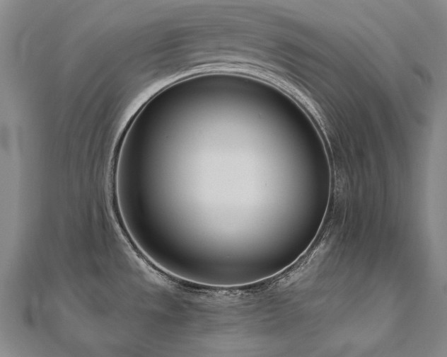 X0000112481533200908171209