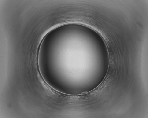 X0000112481534200908171209