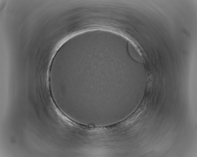 X0000112481535200908171209