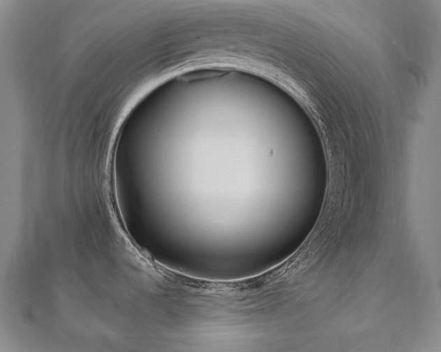 X0000112481536200908171209