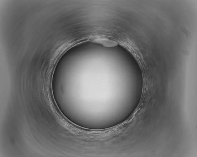 X0000112480001200908241304