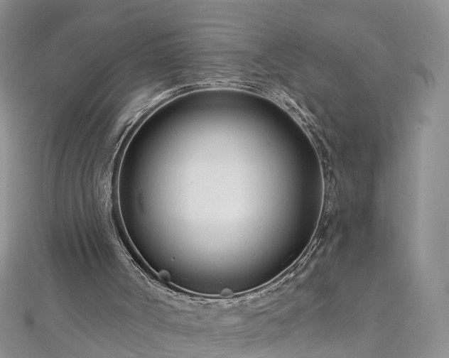 X0000112480002200908241304