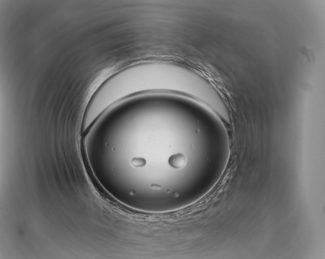 X0000112480003200908241304