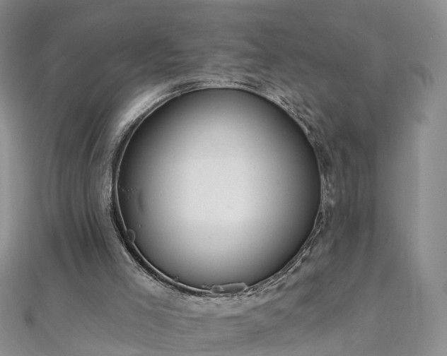 X0000112480005200908241304