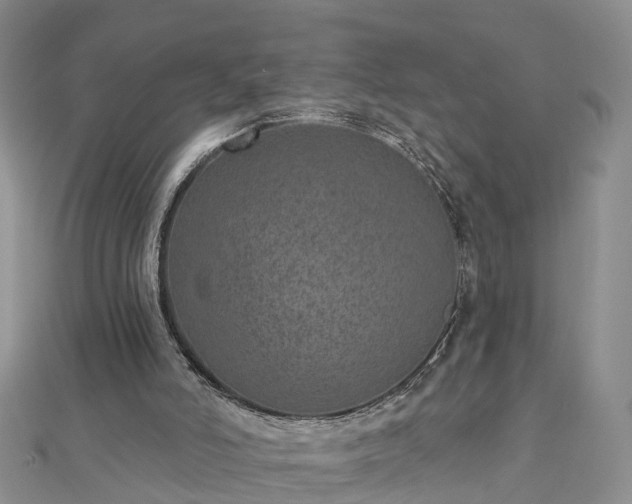 X0000112480006200908241304