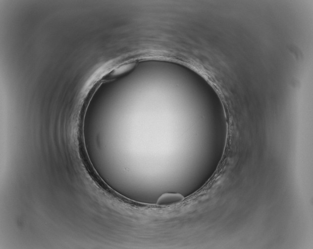 X0000112480007200908241304